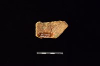 陶片藏品圖，第2張